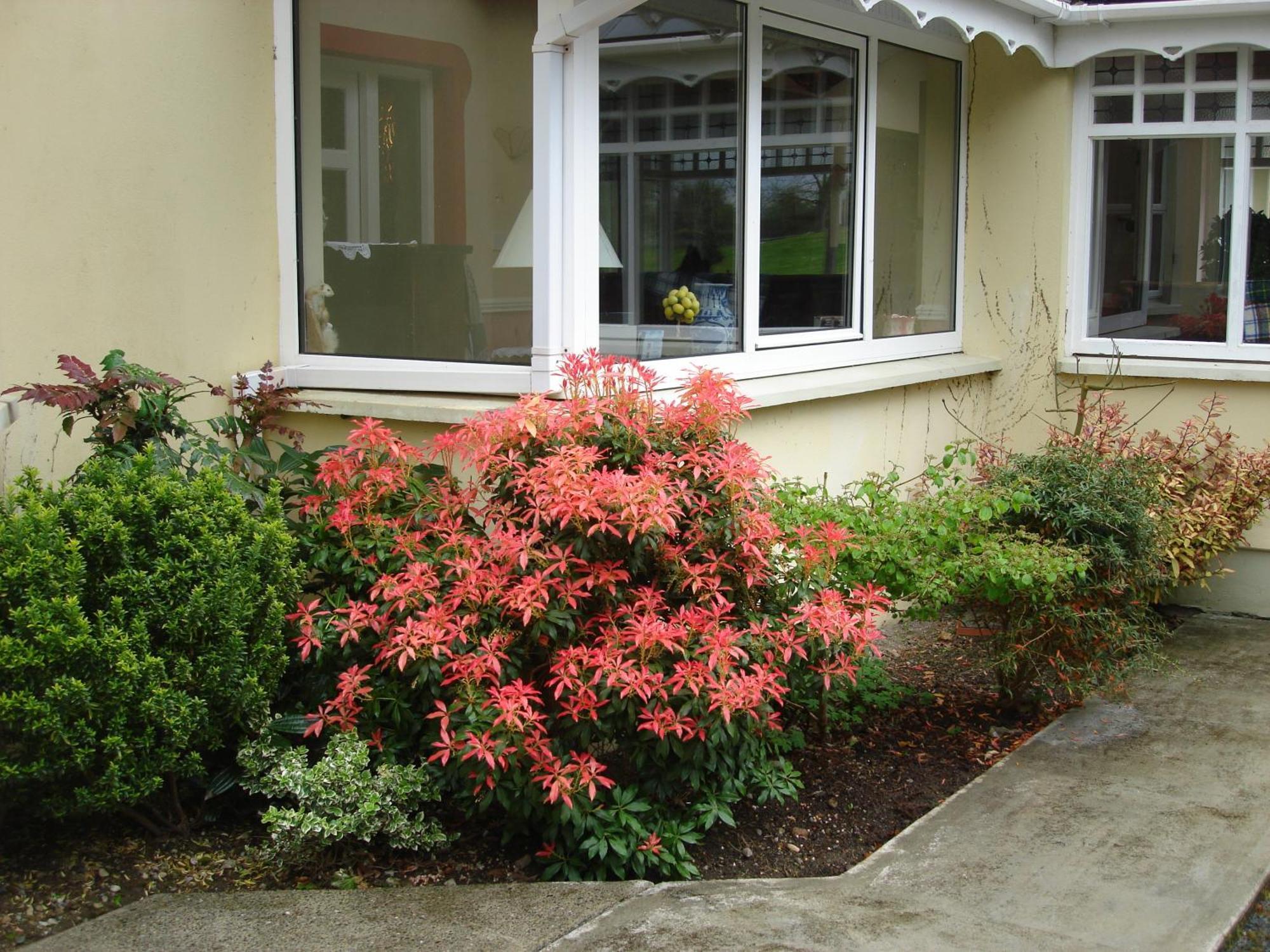 Gleann Fia Country House Killarney Exterior foto